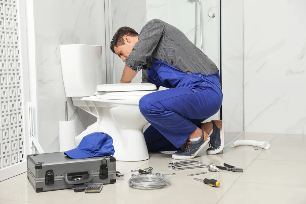 Toilet Installation in Taylor